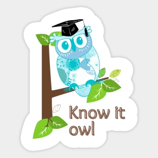 Blue owl Sticker